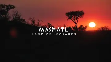 Задник до фільму "Mashatu: Land of Leopards" #1629371