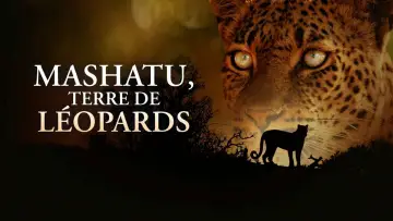 Задник до фільму "Mashatu: Land of Leopards" #1629372
