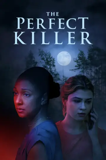 The Perfect Killer постер