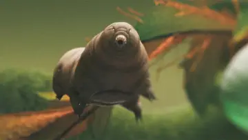 Задник до фільму "Tardigrade, l