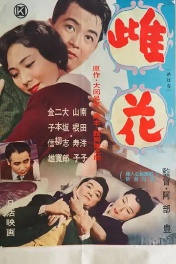 雌花 постер