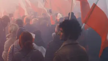 Задник до фільму "Історії з Вовчої вулиці" #1899283