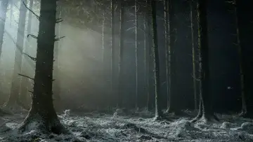 Задник до фильму"Werwulf" #930767