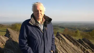 Задник до фільму "Attenborough