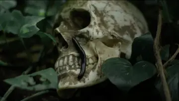 Задник до фильму"Sambhavam" #807136