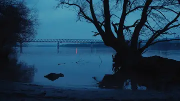 Задник до фільму "Dalok a Nép Szigetéről" #1641652
