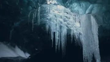 Задник до фільму "Nature : pour une réconciliation" #1224215
