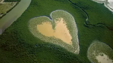 Задник до фільму "Nature : pour une réconciliation" #1224218