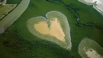 Задник до фільму "Nature : pour une réconciliation" #1224220