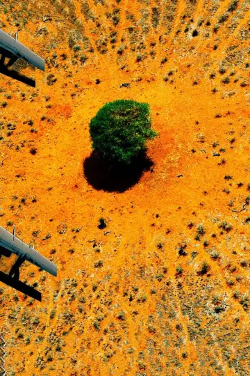 Nature : pour une réconciliation постер