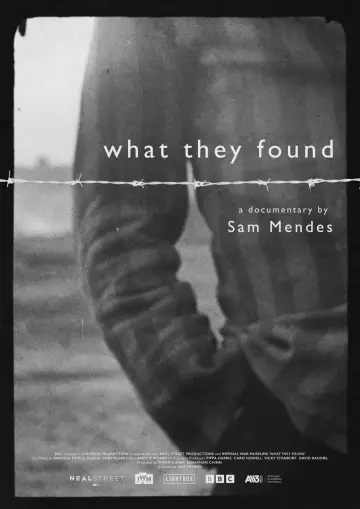 What They Found постер