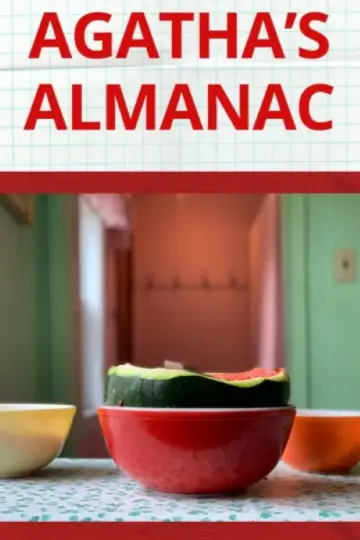 Постер до фильму"Альманах Аґати" #820099
