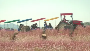 세하별 постер