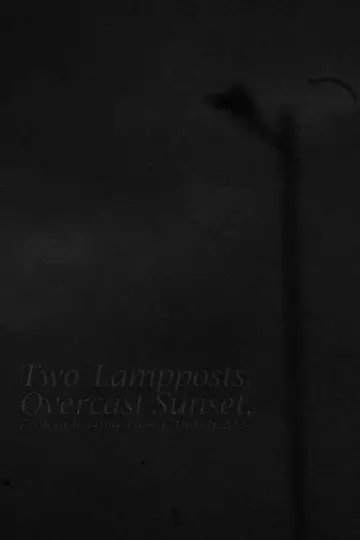 Постер до фильму"Two Lampposts, Overcast Sunset, 7.58pm-8.34pm Tues 17th Feb 2025" #941320