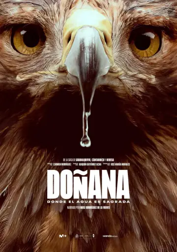 Doñana постер