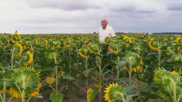 Задник до фильму"Beau comme un tracteur" #1175397