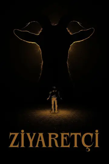 Постер до фильму"Ziyaretçi" #965175