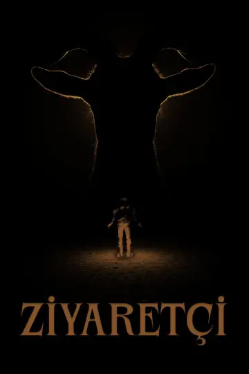 Постер до фильму"Ziyaretçi" #965176