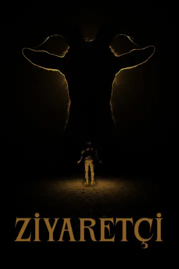 Постер до фильму"Ziyaretçi" #965177