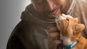 Задник до фильму"Pets" #670834