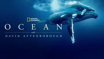 Задник до фильму"Ocean with David Attenborough" #617830