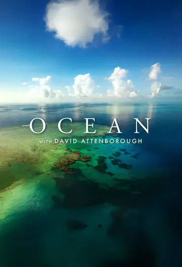 Постер до фильму"Ocean with David Attenborough" #617840