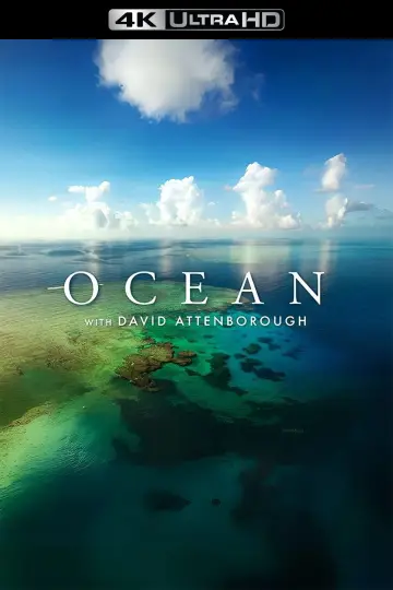 Постер до фильму"Ocean with David Attenborough" #617861