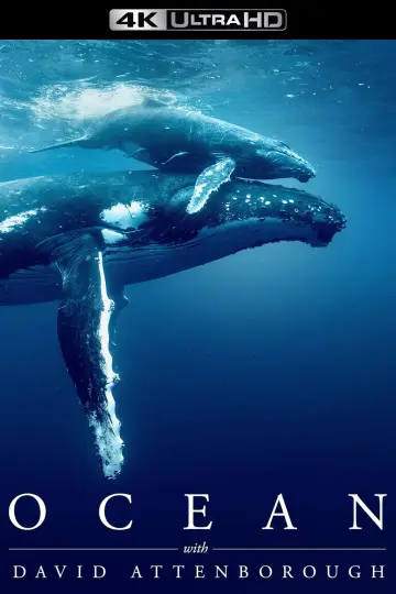 Постер до фильму"Ocean with David Attenborough" #617863