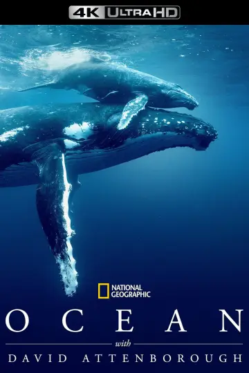 Постер до фильму"Ocean with David Attenborough" #617872
