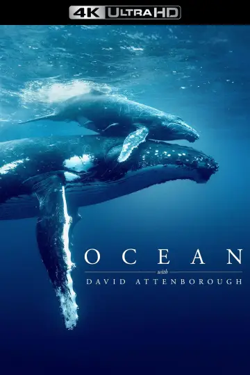Постер до фильму"Ocean with David Attenborough" #617873
