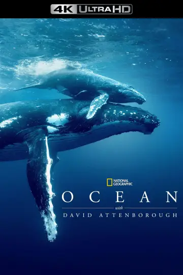 Постер до фильму"Ocean with David Attenborough" #617874