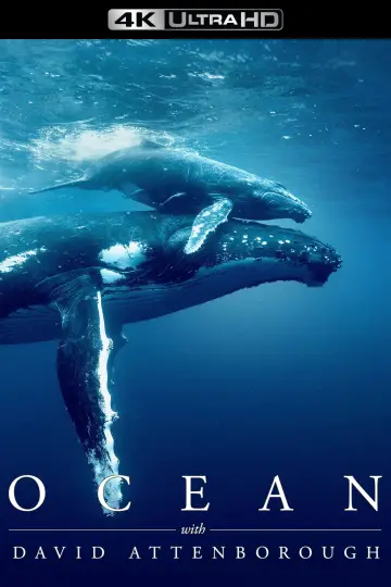 Постер до фильму"Ocean with David Attenborough" #617876