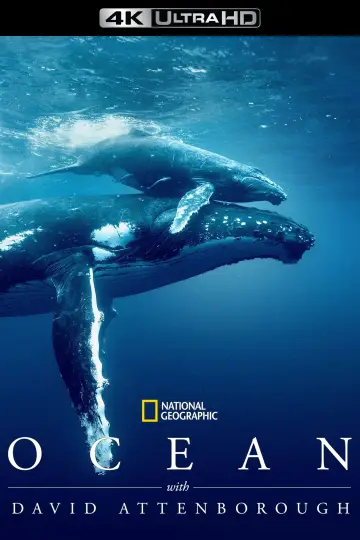 Постер до фильму"Ocean with David Attenborough" #617877