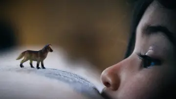 Задник до фильму"When We Move" #802667