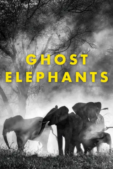 Постер до фильму"Ghost Elephants" #670884