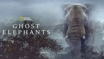 Задник до фильму"Ghost Elephants" #764750