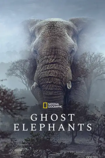 Постер до фильму"Ghost Elephants" #764755