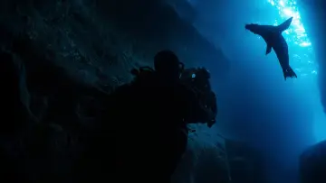 Задник до фильму"Guardians of the Galapagos" #720070
