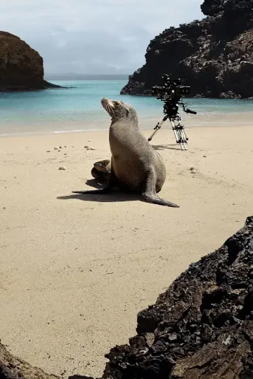 Постер до фильму"Guardians of the Galapagos" #720087