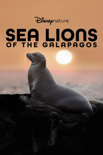 Постер до фильму"Sea Lions of the Galapagos" #719375