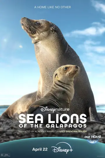 Постер до фильму"Sea Lions of the Galapagos" #719376