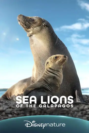 Постер до фильму"Sea Lions of the Galapagos" #719381