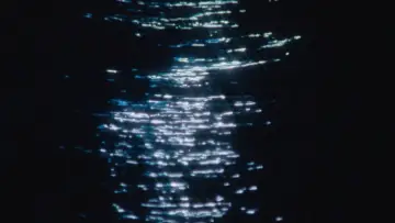 Задник до фильму"Anything That Moves" #1140752