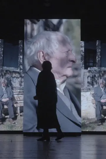Pădurea de molizi