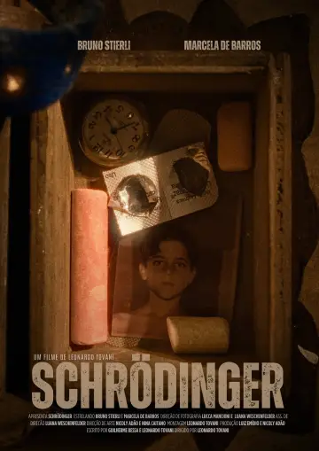 Schrödinger постер