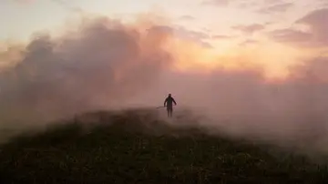 Задник до фільму "Край очерету" #790214