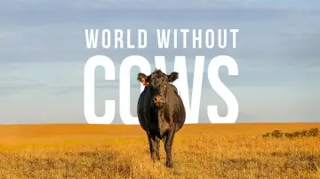Задник до фільму "World Without Cows" #1806807