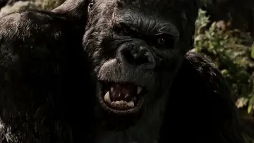Задник до фильму"« King Kong » : le cœur des ténèbres" #1195162
