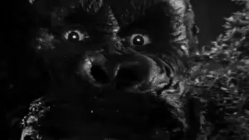 Задник до фильму"« King Kong » : le cœur des ténèbres" #1195166