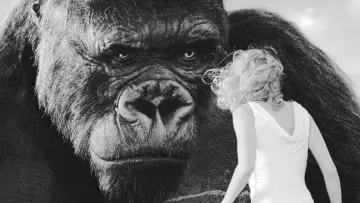 Задник до фильму"« King Kong » : le cœur des ténèbres" #1195168